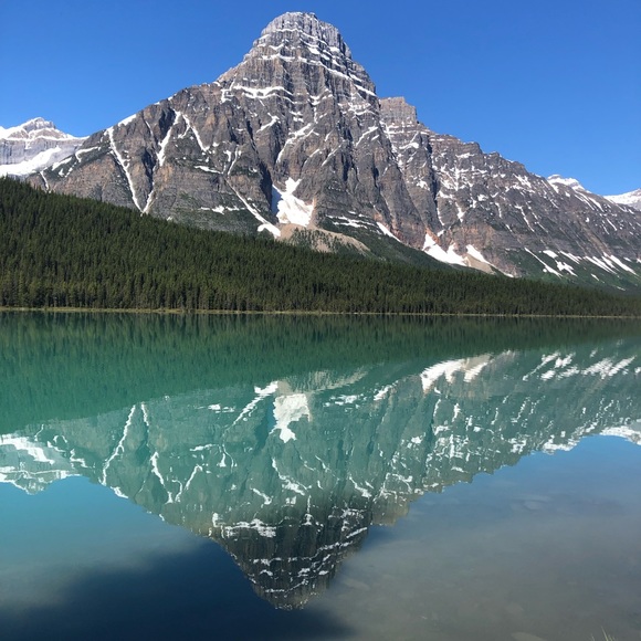 Meet your Posher, Brittney - Picture 1 of 1